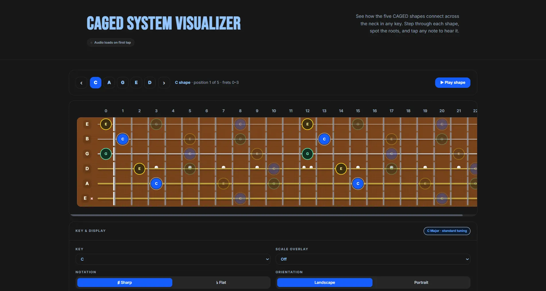 CAGED System Visualizer preview