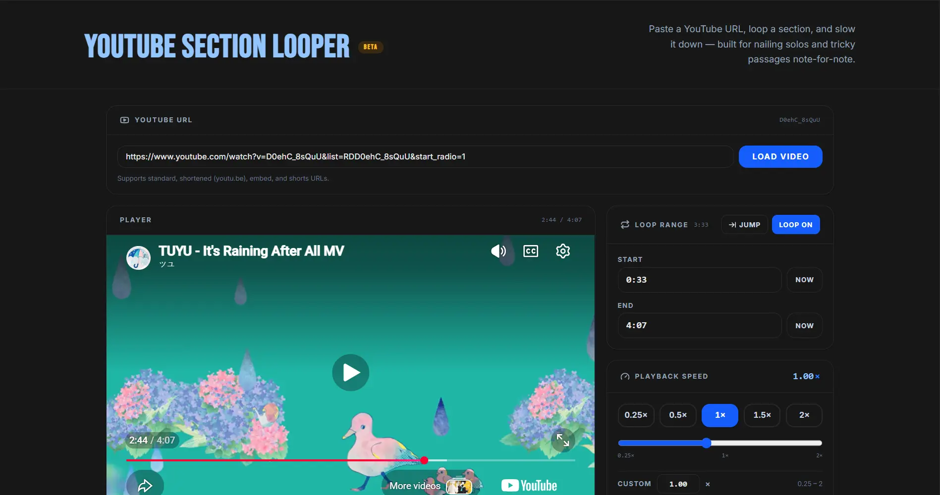 YouTube Section Looper preview